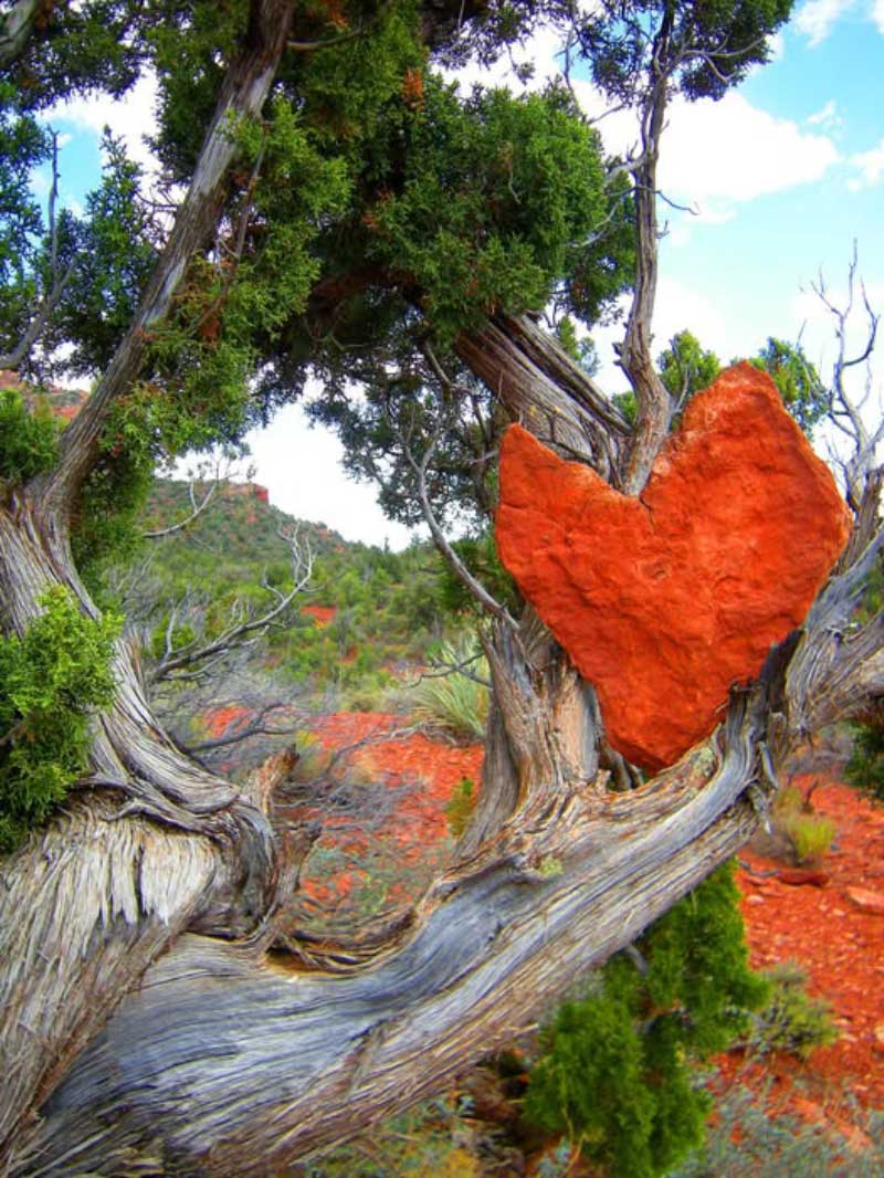 Heart-Rpck Intuition.